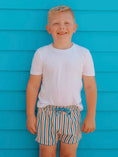 Load image into Gallery viewer, Americana Stripe Swim Shorts