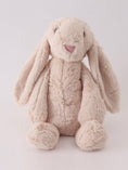 Load image into Gallery viewer, Plush Bunny
