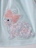 Load image into Gallery viewer, Blue Floral Bunny Bloomer Set
