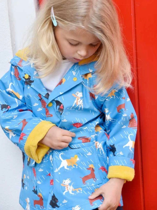 Cats & Dogs Raincoat