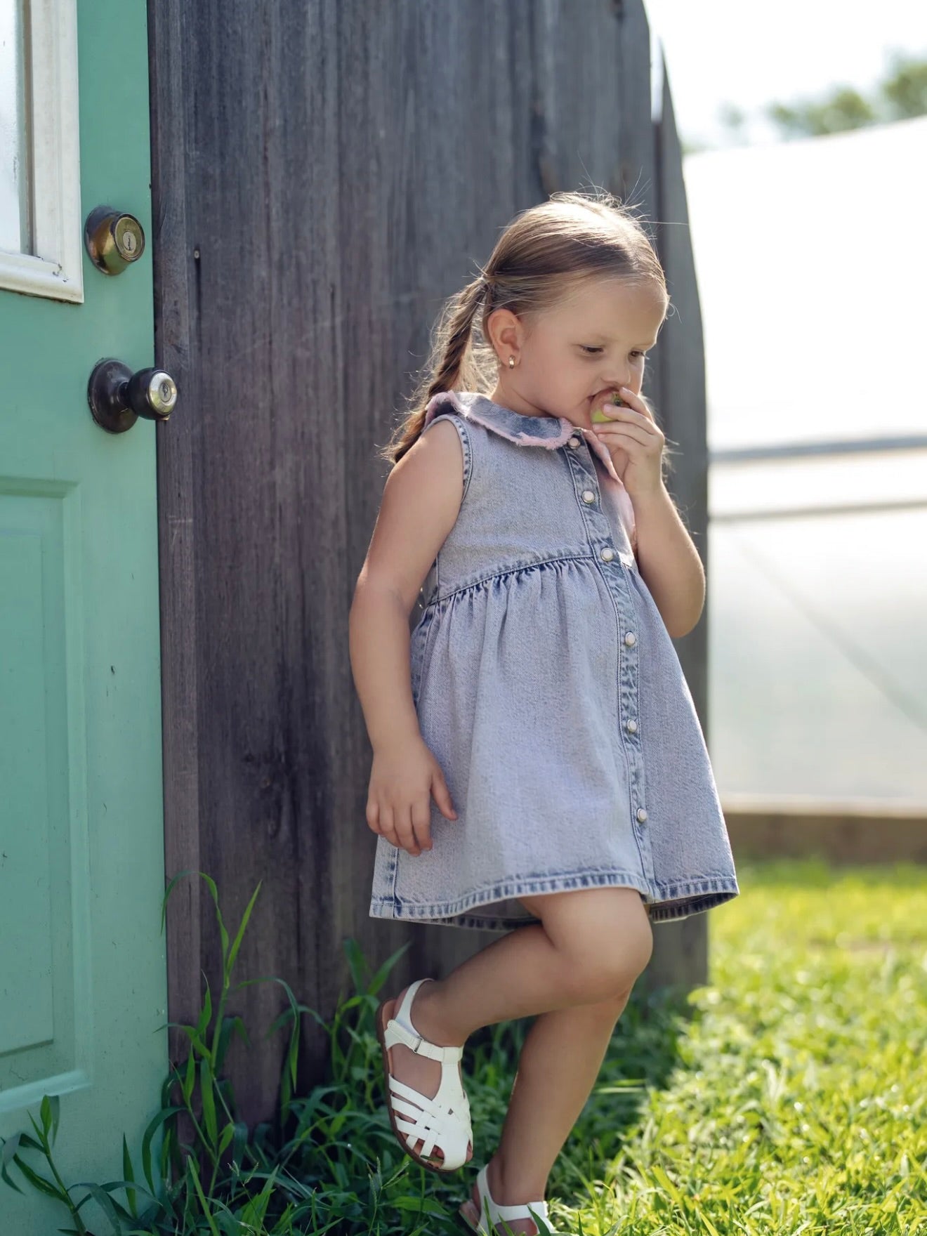 Sophia Peter Pan Dress