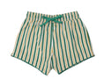Load image into Gallery viewer, Hamptons Stripe Swim Shorts
